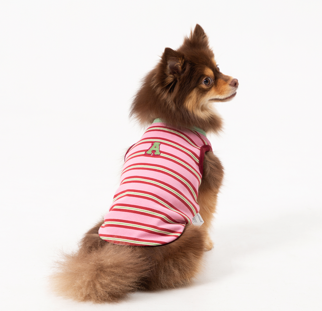 截圖 2026-02-14 上午1.29.27