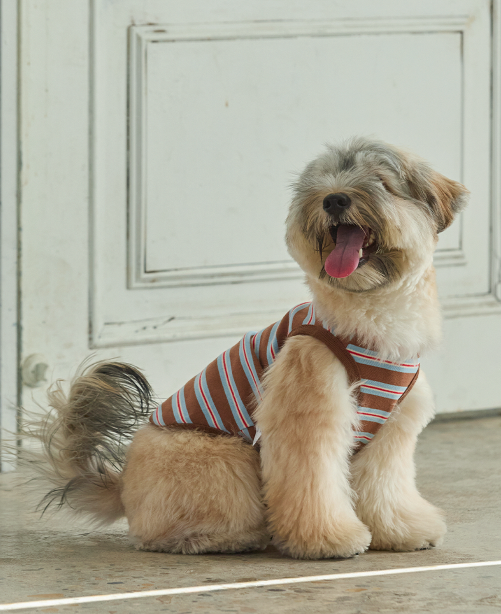 截圖 2026-02-14 上午1.32.46