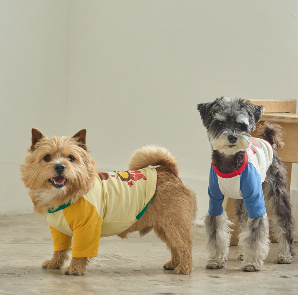 截圖 2026-02-14 上午1.40.00