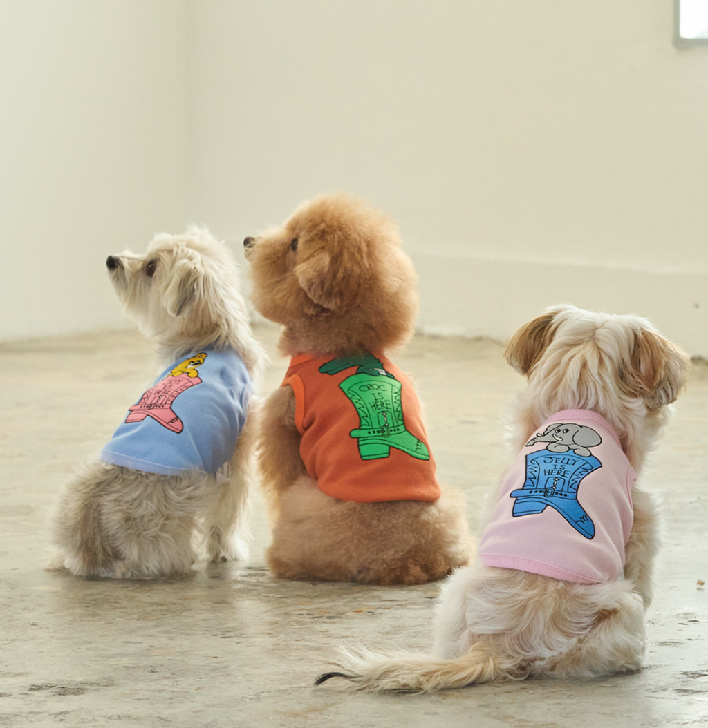 截圖 2026-02-14 上午1.53.57