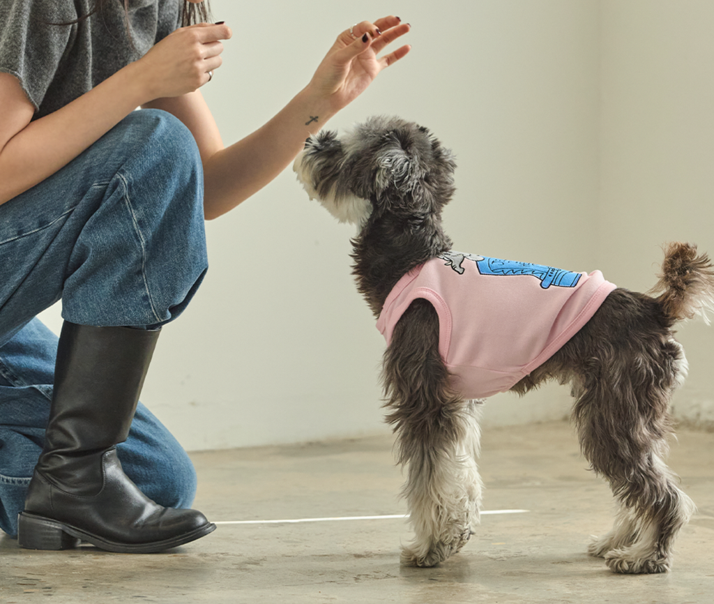 截圖 2026-02-14 上午1.53.39