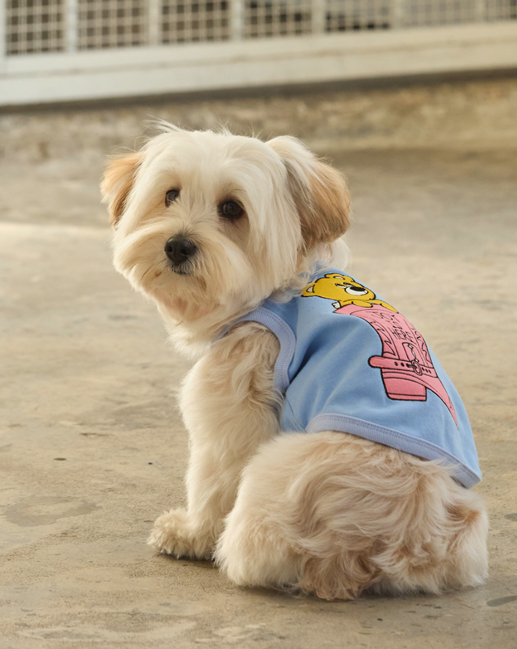 截圖 2026-02-14 上午1.55.47