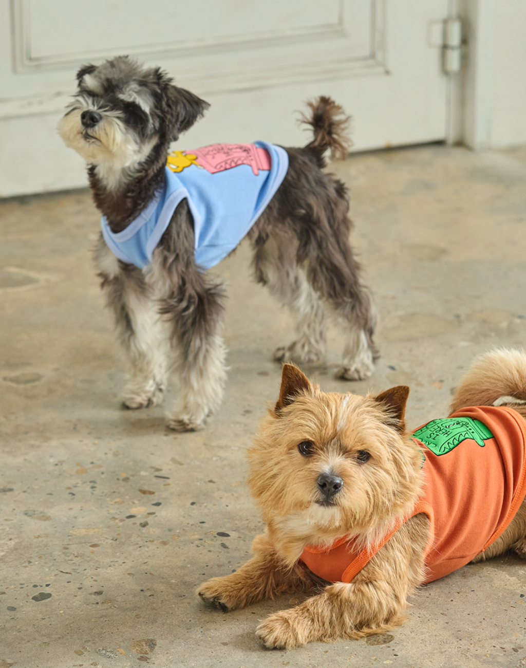 截圖 2026-02-14 上午1.55.43