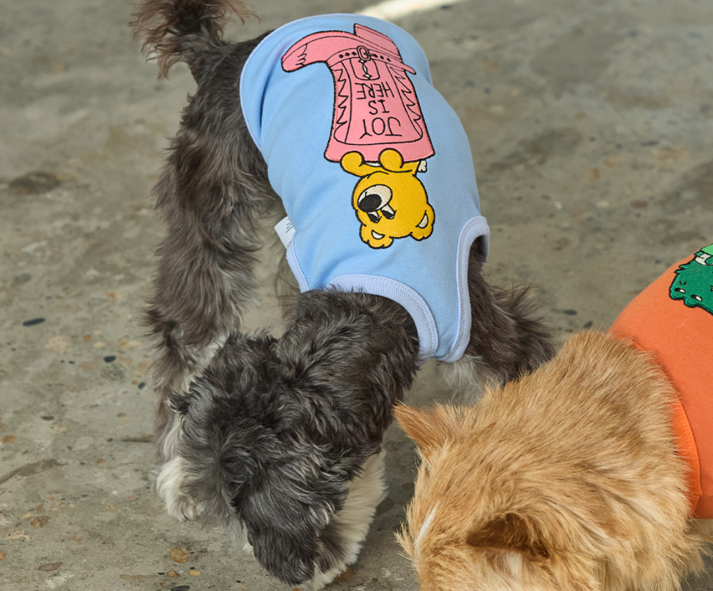 截圖 2026-02-14 上午1.55.55