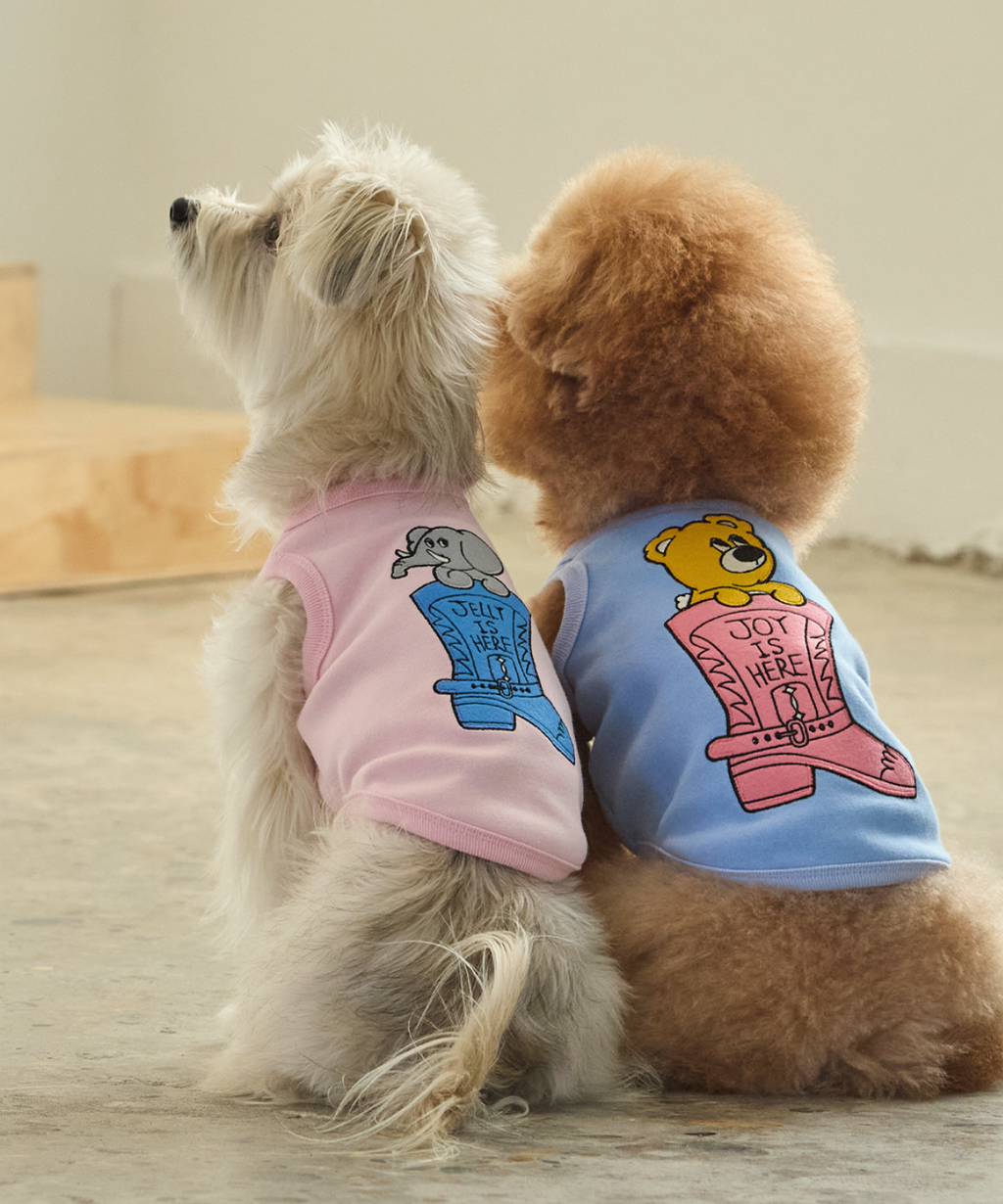 截圖 2026-02-14 上午1.56.14