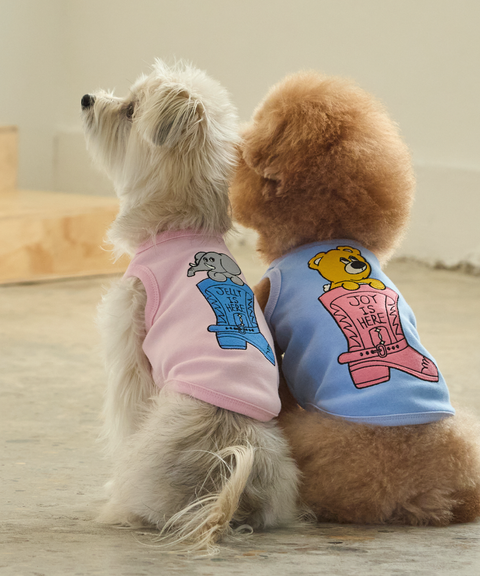 截圖 2026-02-14 上午1.56.14