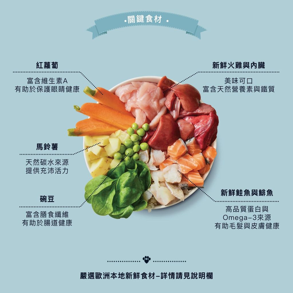 imgi_4_FishyFishPie-1_f36ca112-08b0-4a45-b88d-538d1e99b906