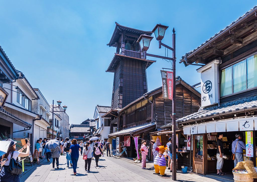 Kawagoe-Photo-Picture-Cells-Shutterstock.com-1200x852-1