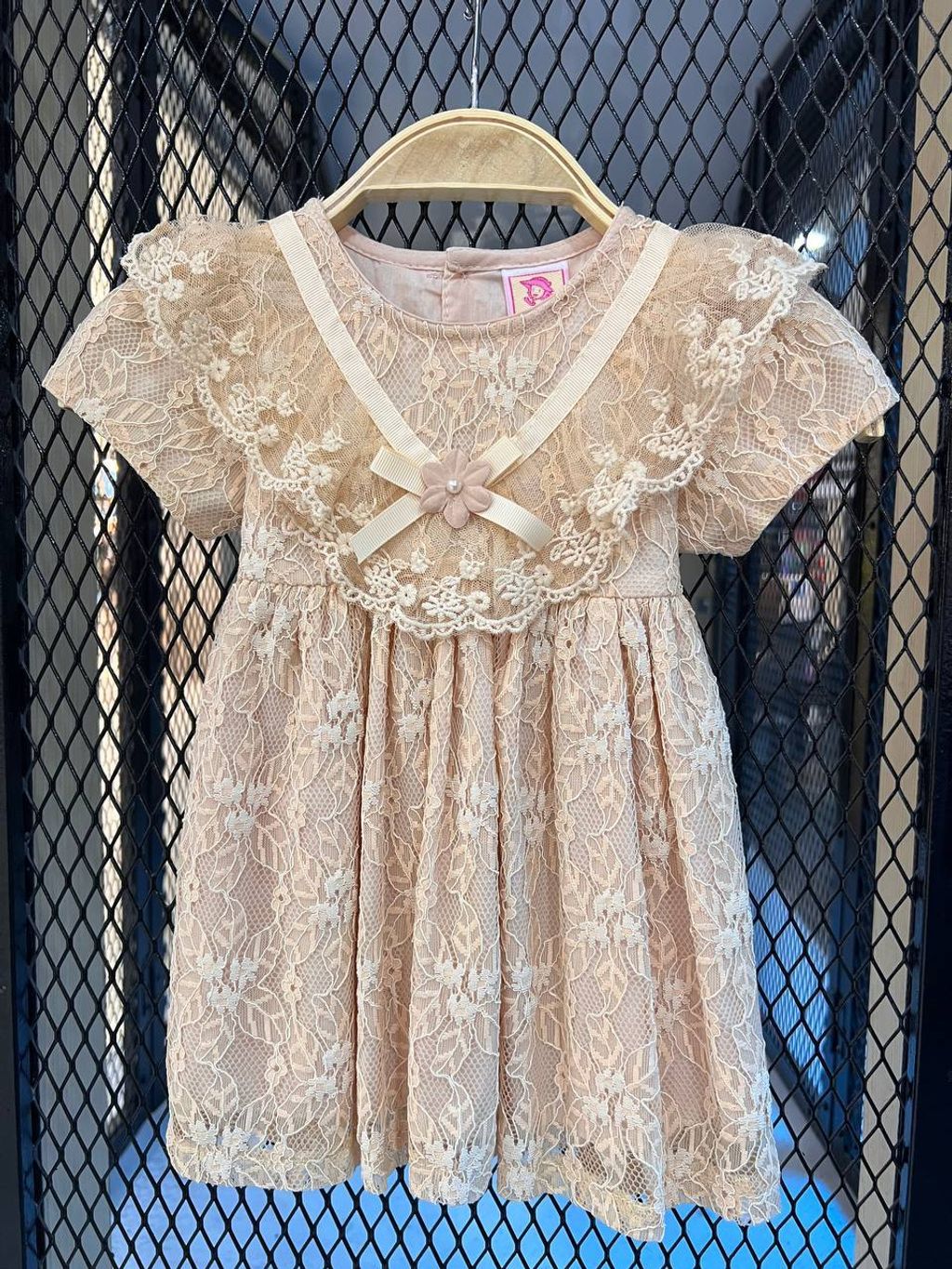 IMG_20251104_133418_824