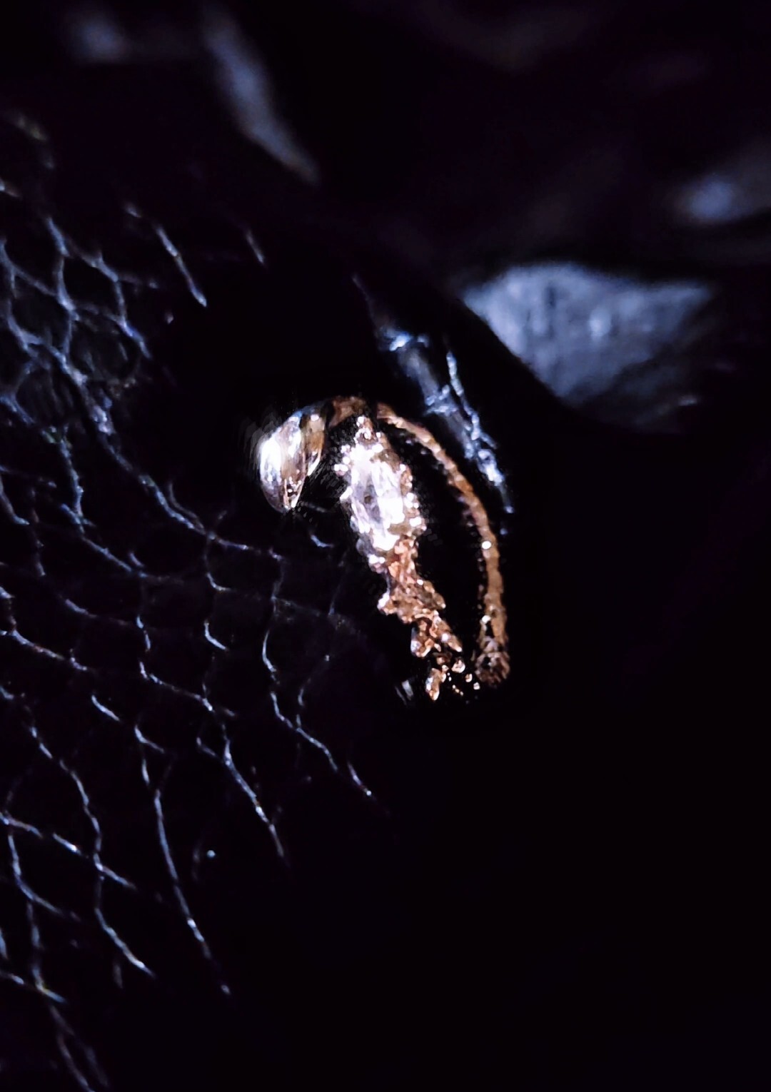 Screenshot_20250709_150800_Gallery