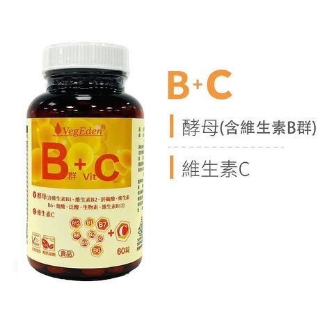 酵母B群+維生素C錠 首圖