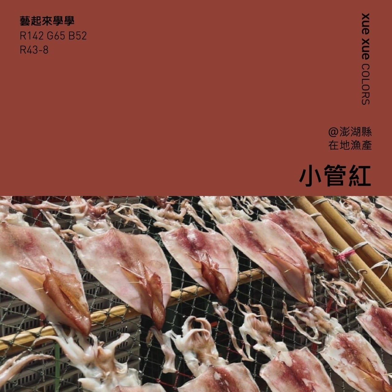 澎湖元素本島舍印花5