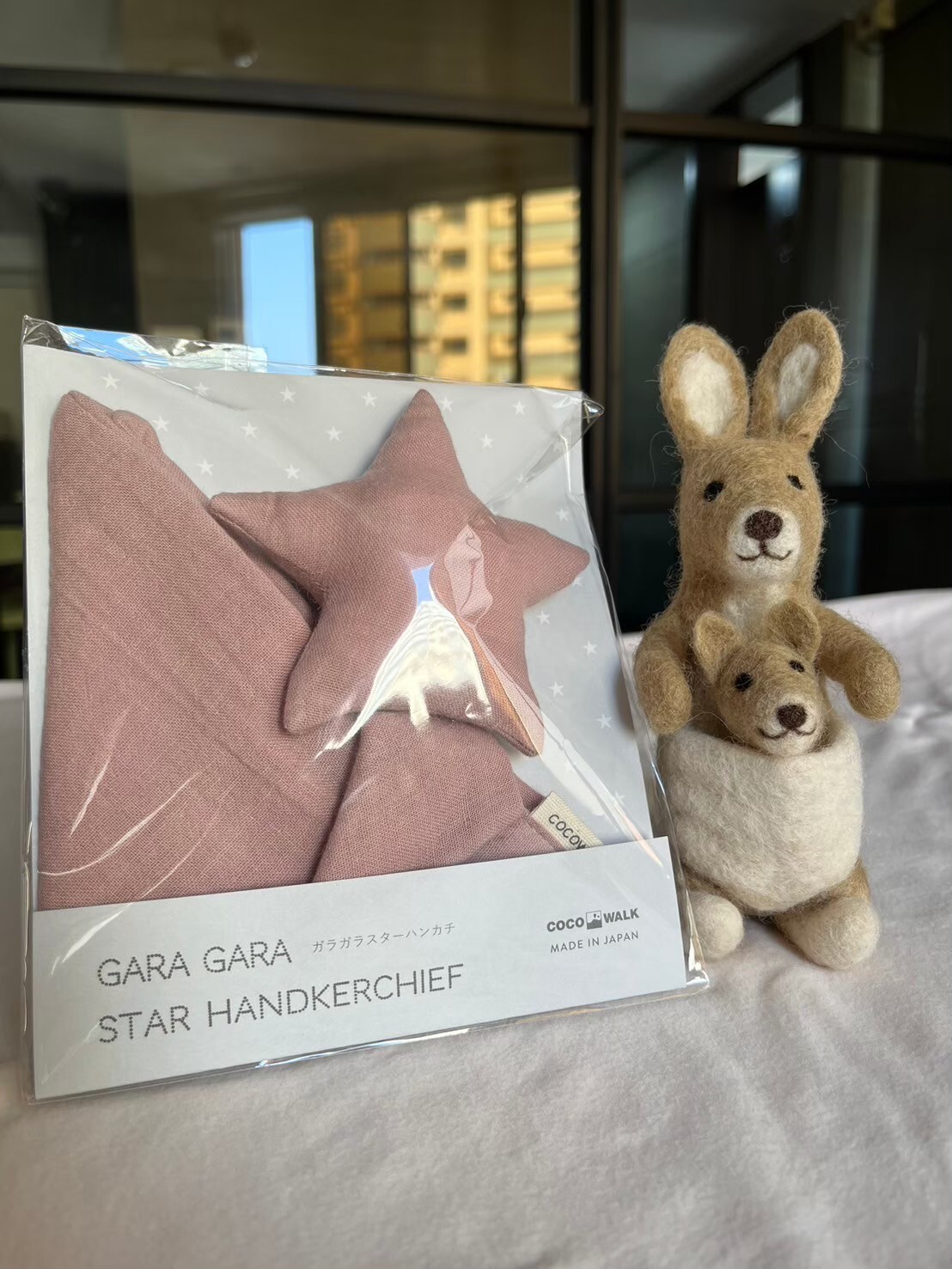 LINE_ALBUM_2024217_240517_4