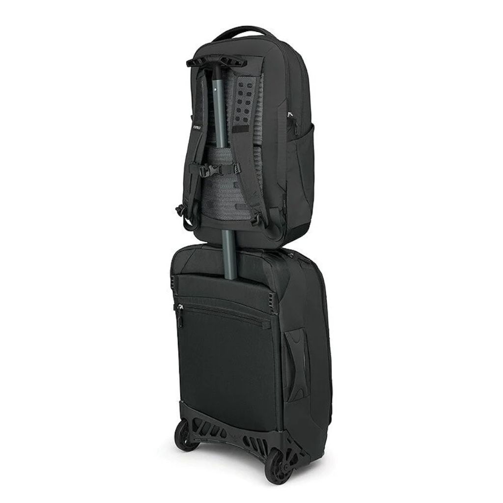 tw-11134207-81ztp-mgqcuyxcm1ag4a