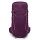 茄子紫 Aubergine Purple
