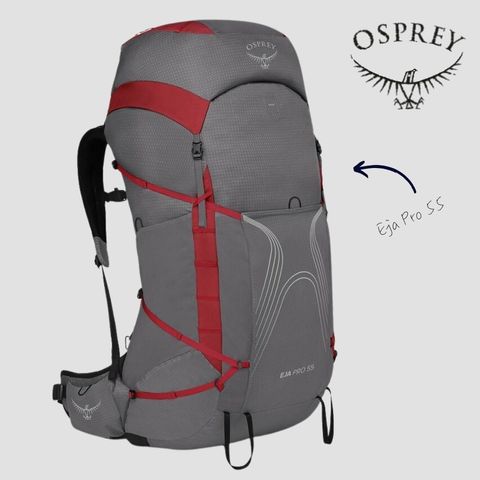 tw-11134207-81ztp-mgx80xnuk6j02c