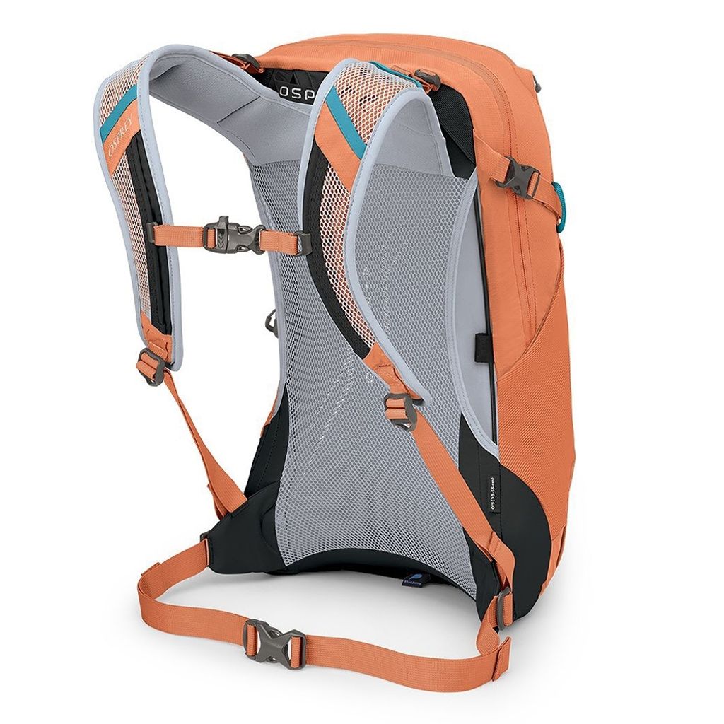 tw-11134207-7r98z-lt3i5elyqqxeb5