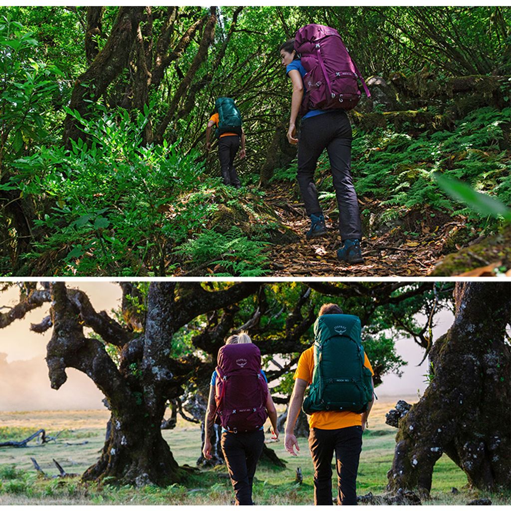 tw-11134207-23030-e9w3yle4dnovf0