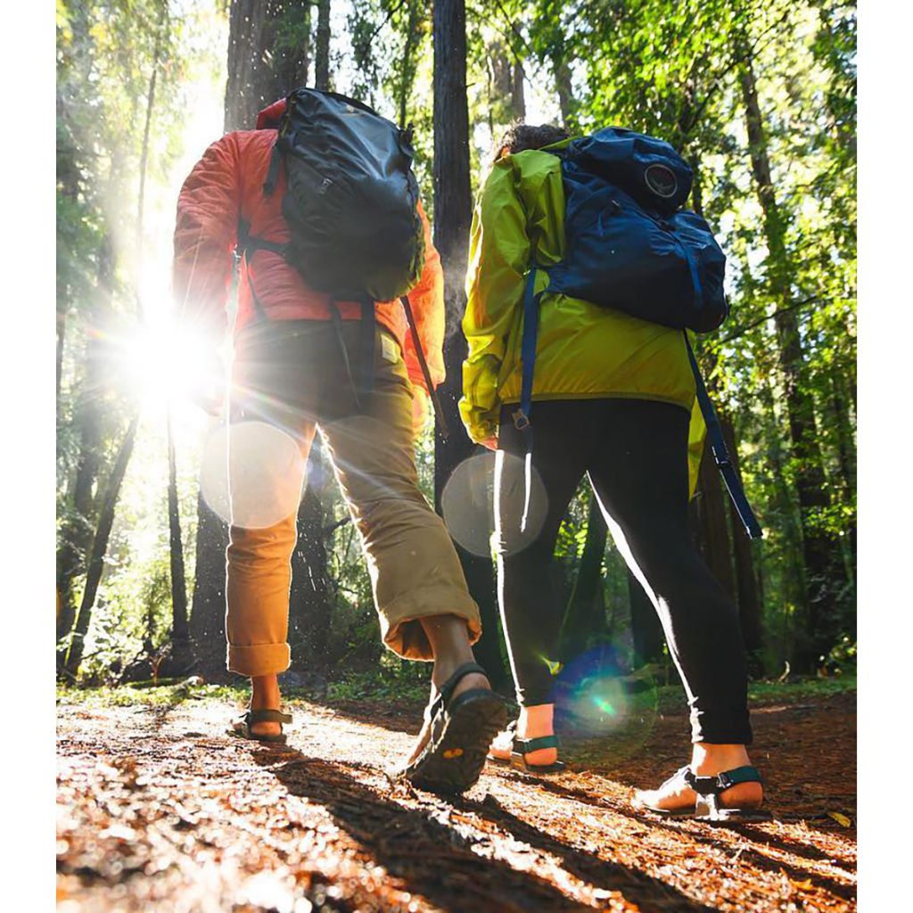 tw-11134207-7qukx-limm1htj31kkee