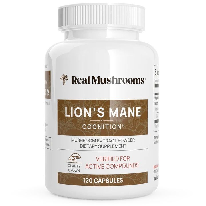 lion1