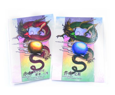 2024_Dragon_Duo