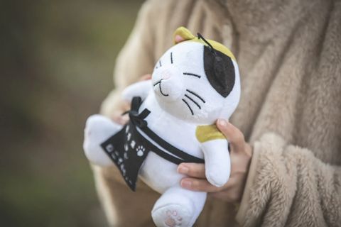 貓店長2
