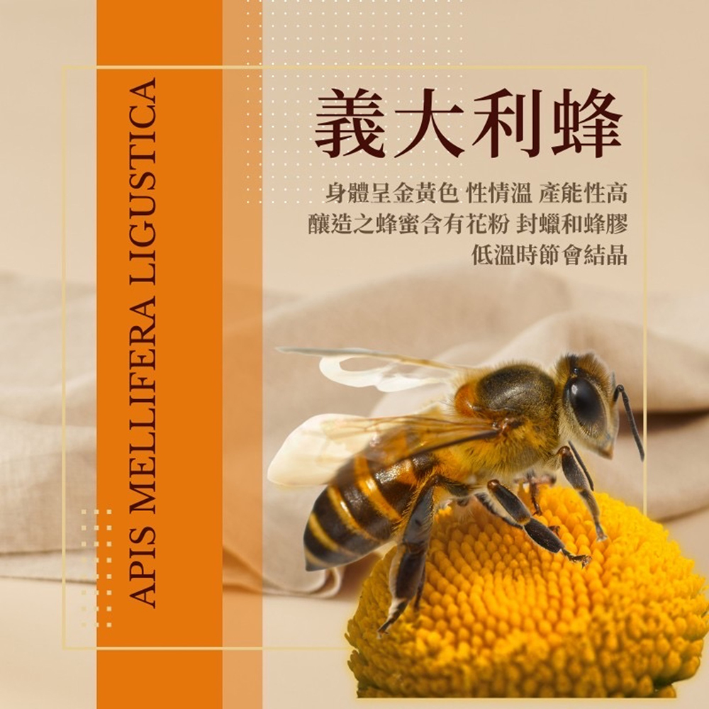 蜂梨糖橙味罐裝 商品圖3