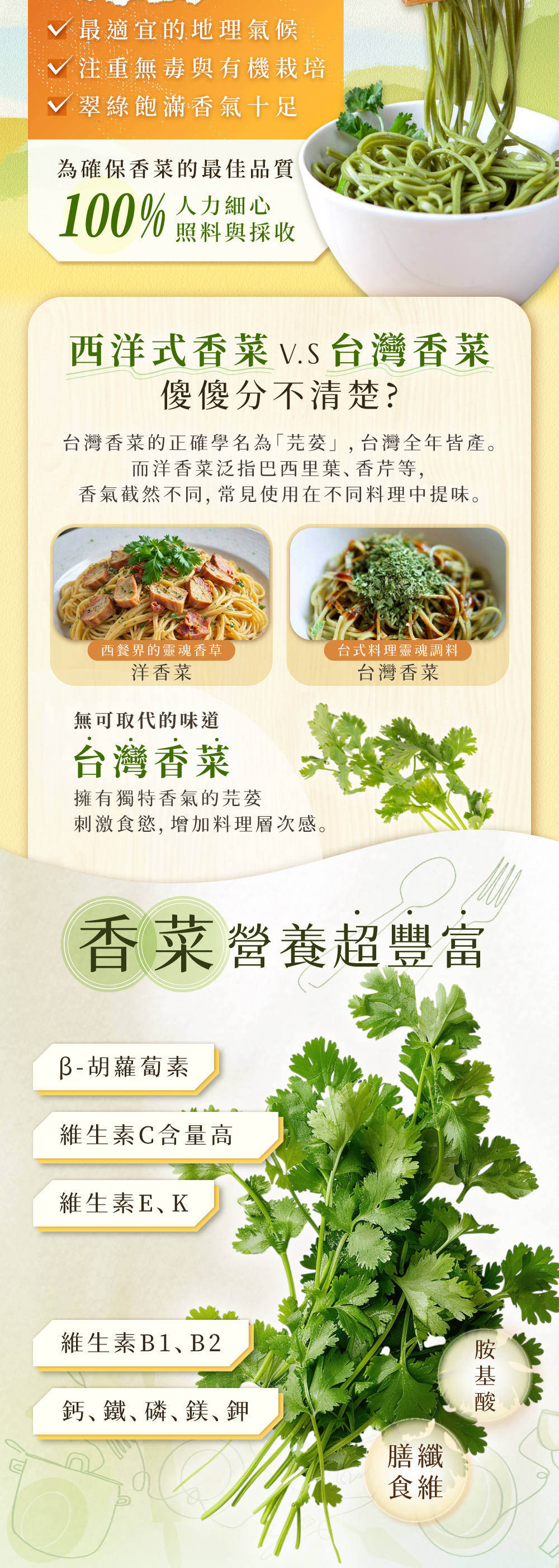 香菜先生拌麵 改_工作區域 1 (2)