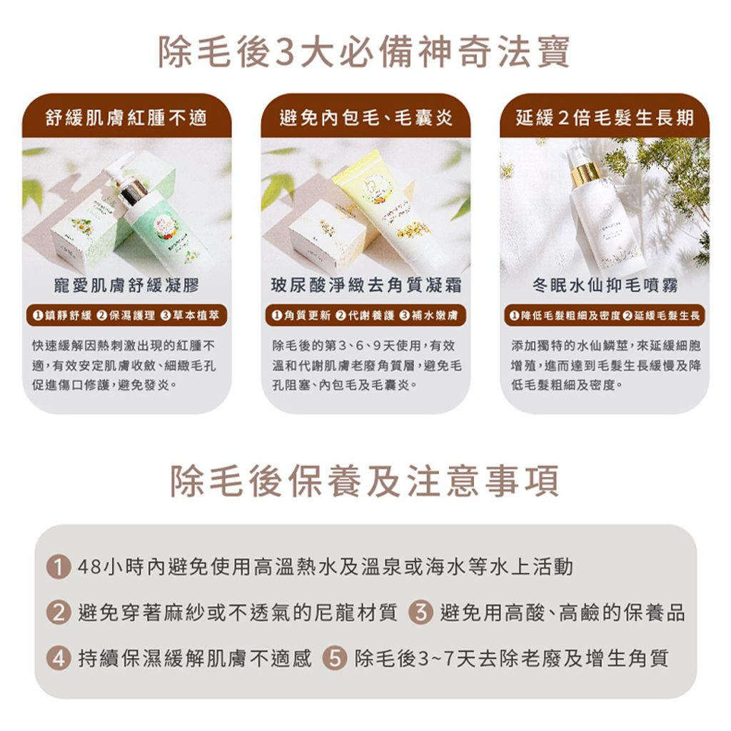 夢幻小熊蠟豆 商品圖8