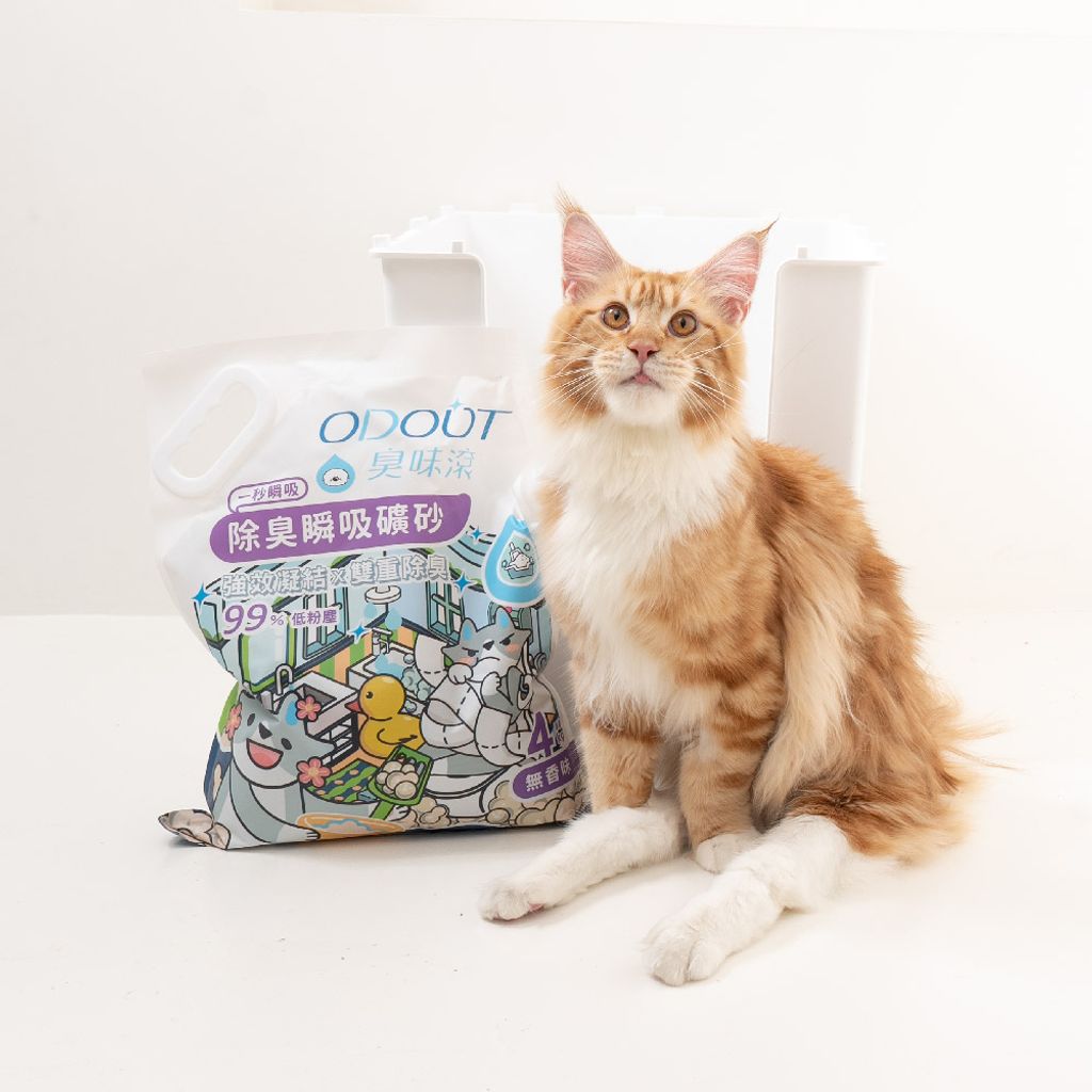 無香除臭瞬吸礦砂 商品圖7