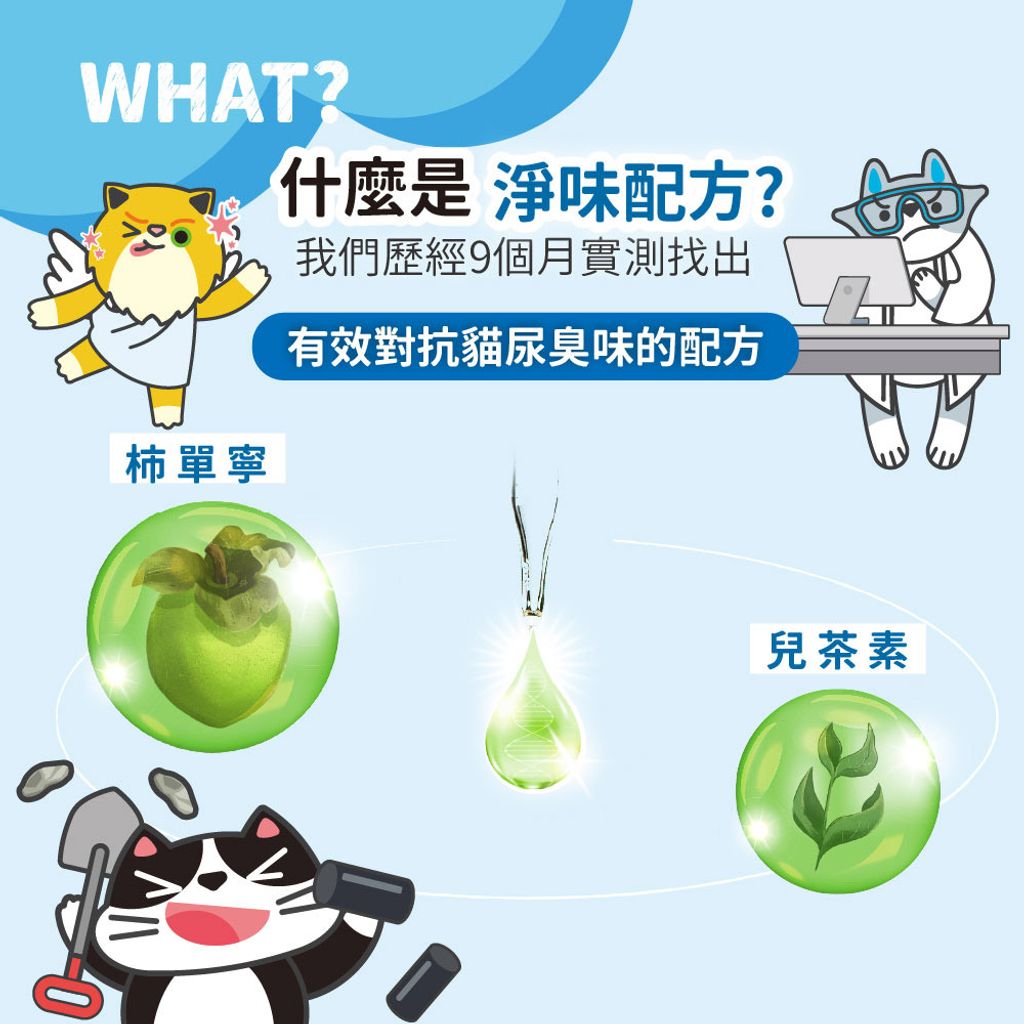 沛點炭 商品圖3