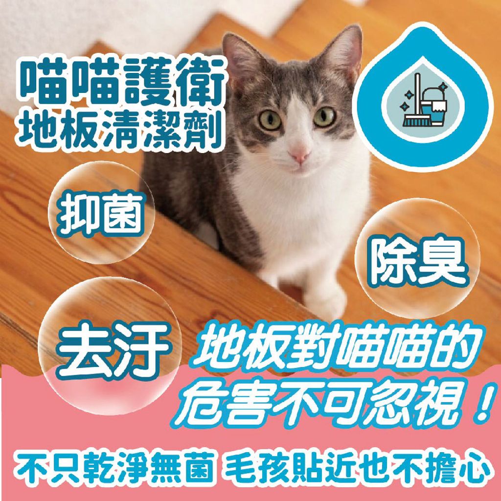 地板清潔(貓家庭適用) 商品圖2