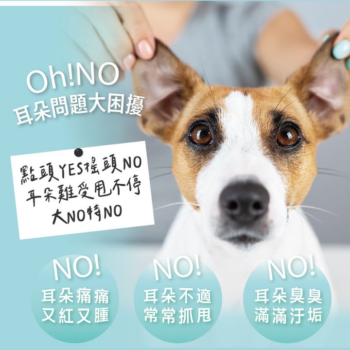 日常潔耳液(寵物家庭適用) 商品圖1