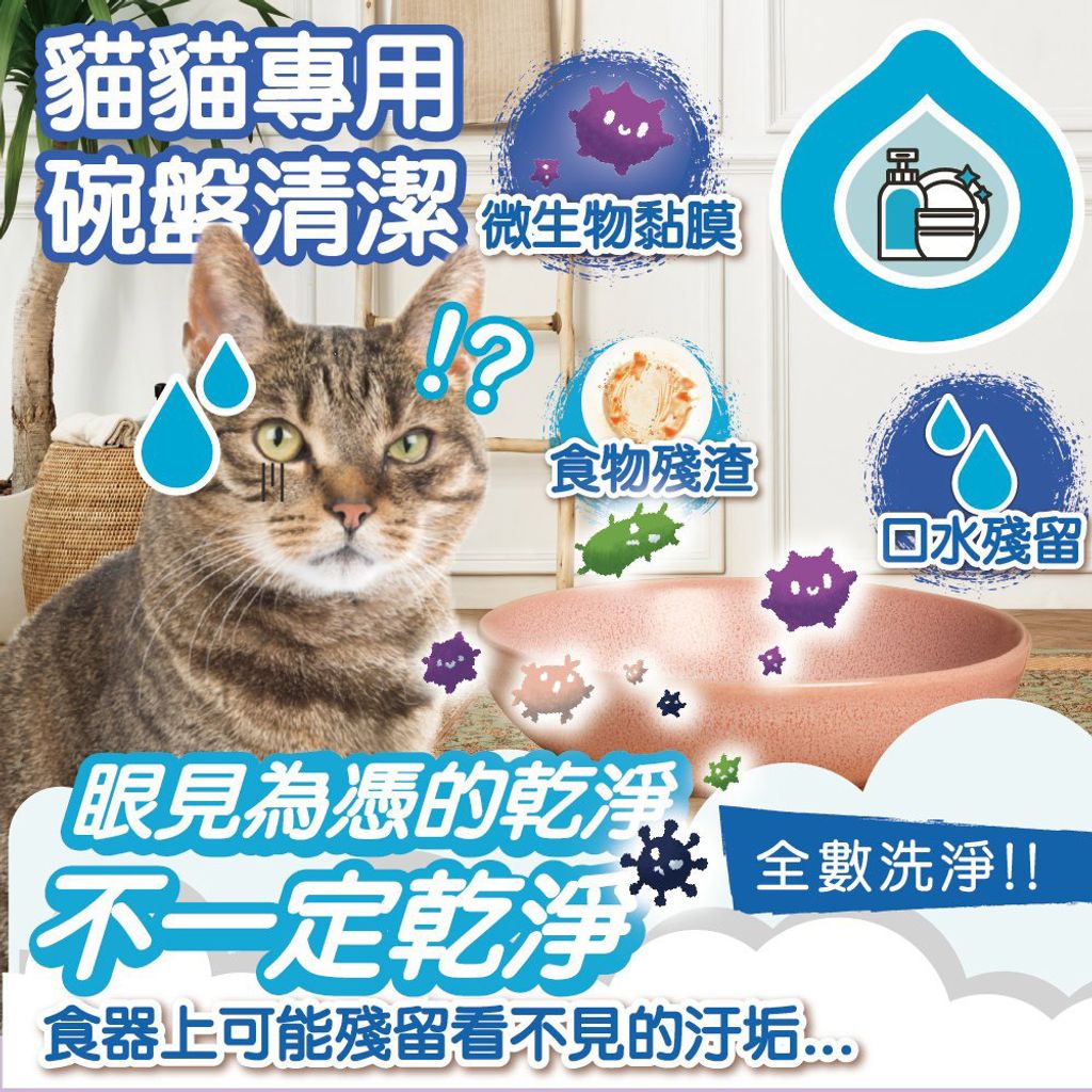 碗盤洗潔精(貓家庭適用) 首圖