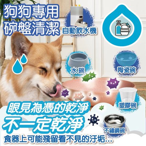 碗盤洗潔精(狗家庭適用) 首圖