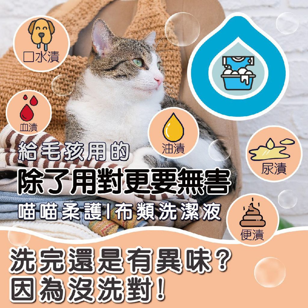 洗衣精(貓家庭適用) 商品圖1 (1)
