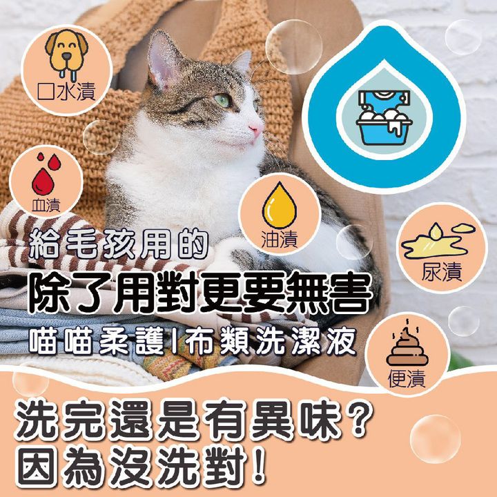 洗衣精(貓家庭適用) 商品圖1 (1)