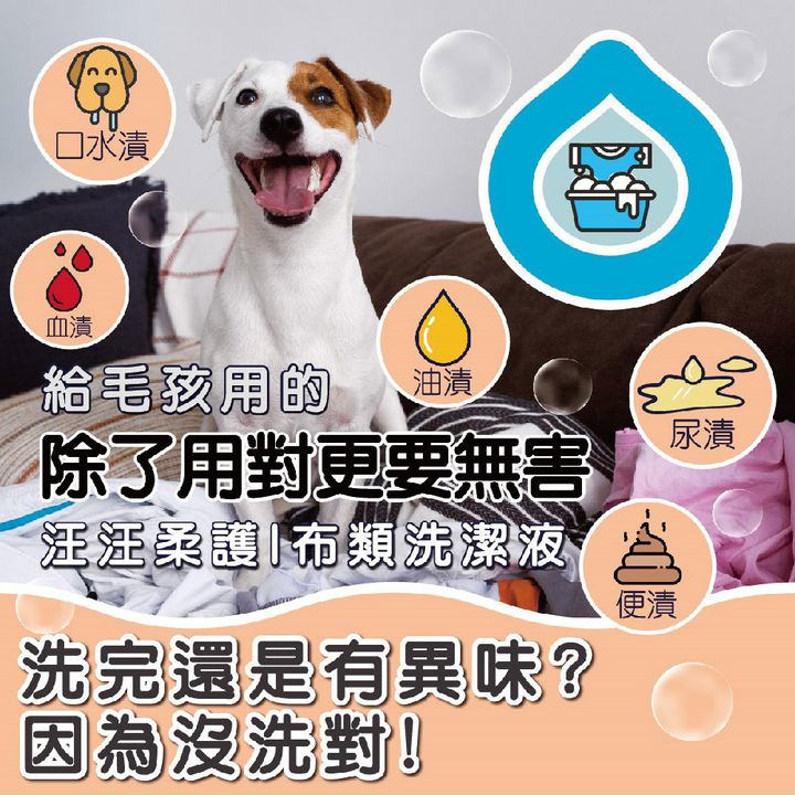 洗衣精(狗家庭適用) 商品圖1