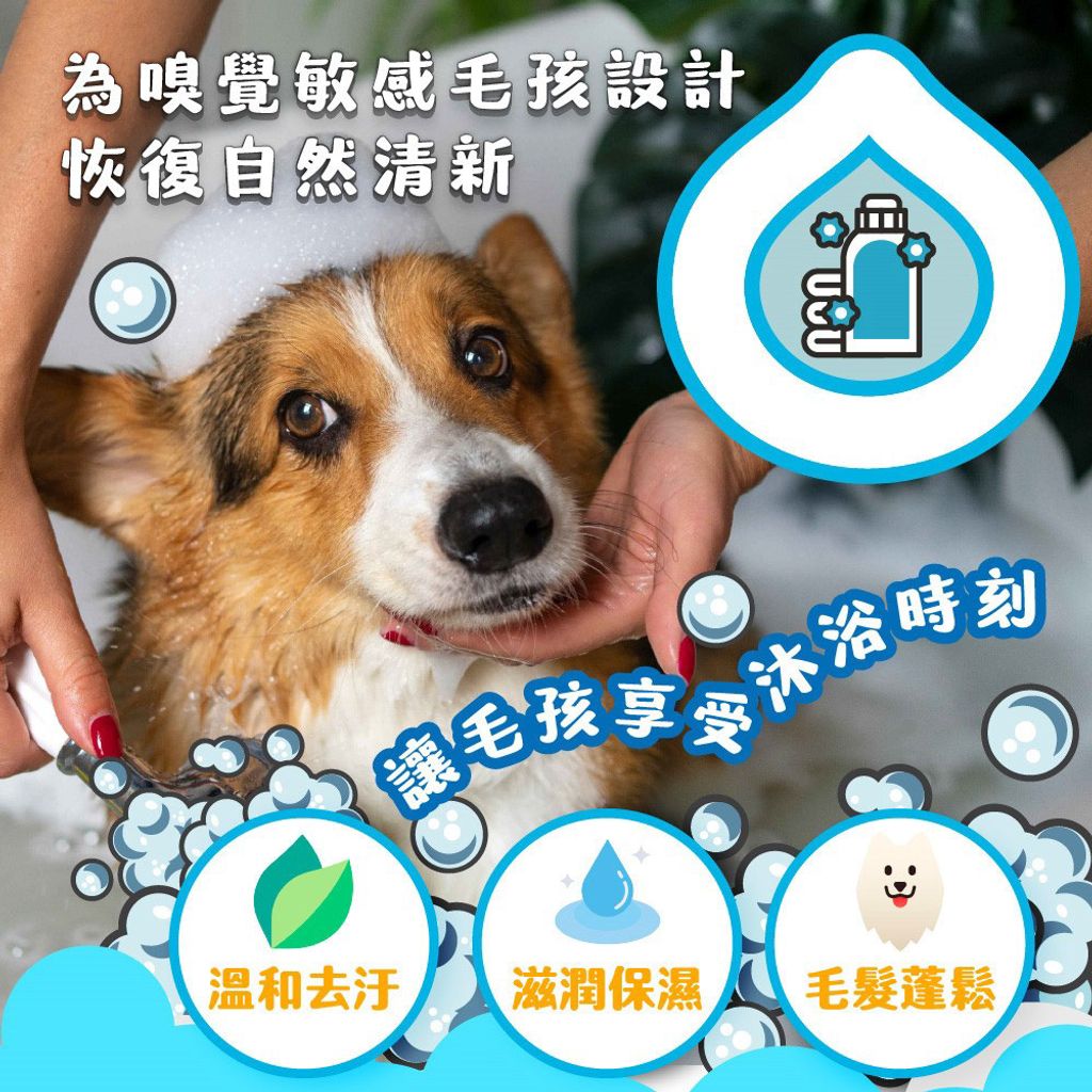 植萃純淨沐浴露 商品圖1