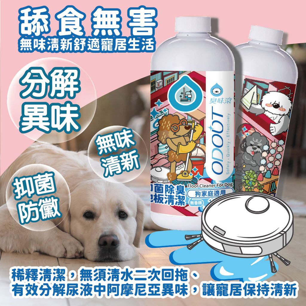 地板清潔(狗家庭適用) 首圖