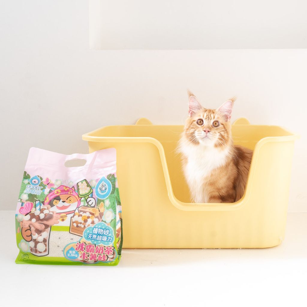 波霸奶茶木薯砂 商品圖9