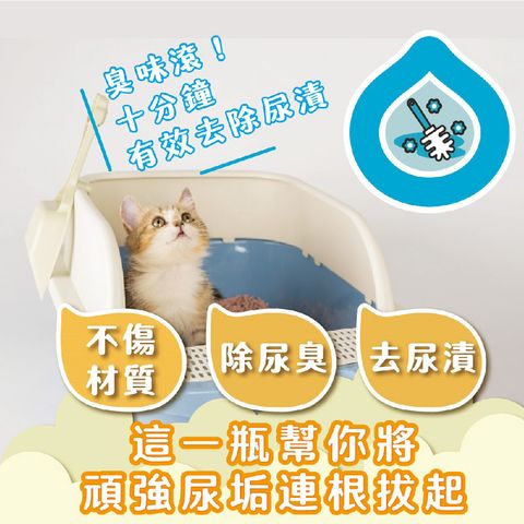 高效泡沫去垢 首圖