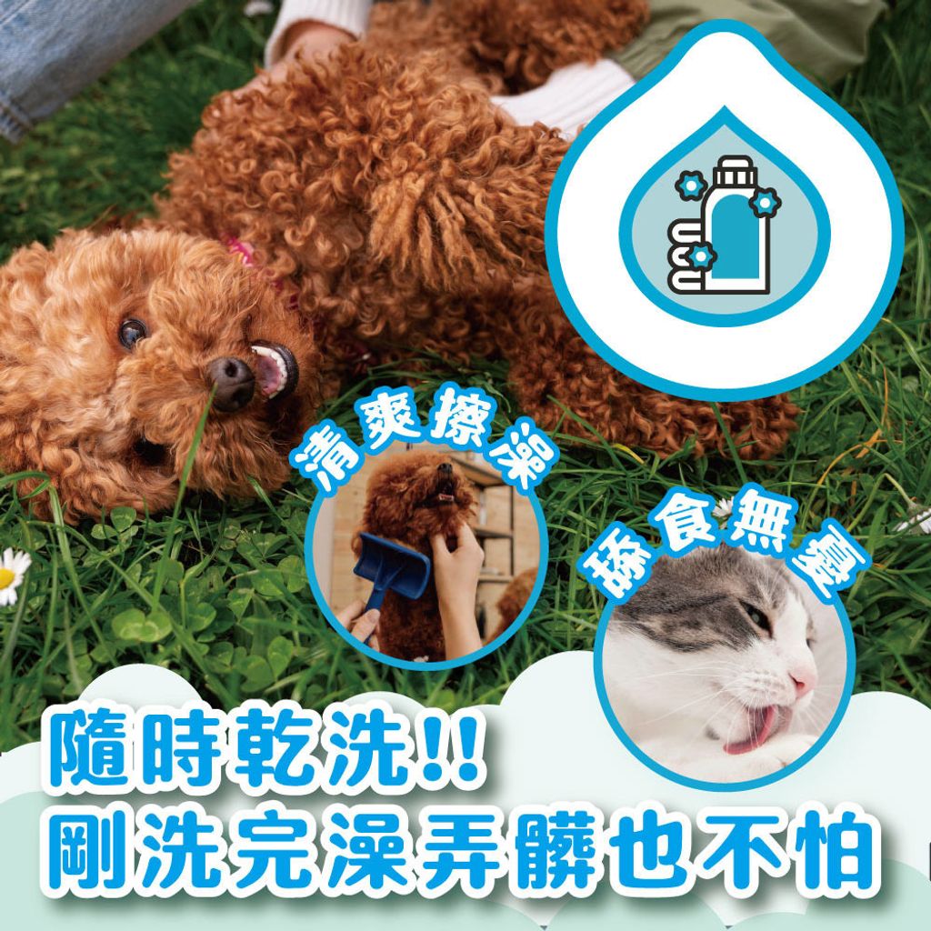 臭味滾 乾洗粉(寵物家庭適用) 商品圖1