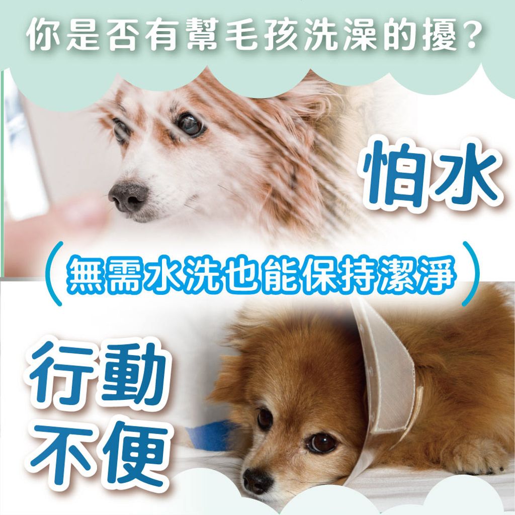 臭味滾 乾洗粉(寵物家庭適用) 商品圖2