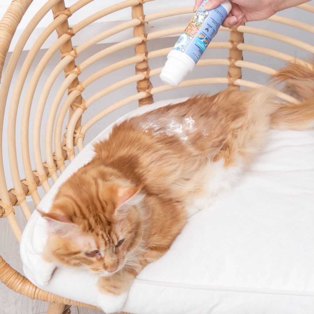 臭味滾 乾洗粉(寵物家庭適用) 商品圖5