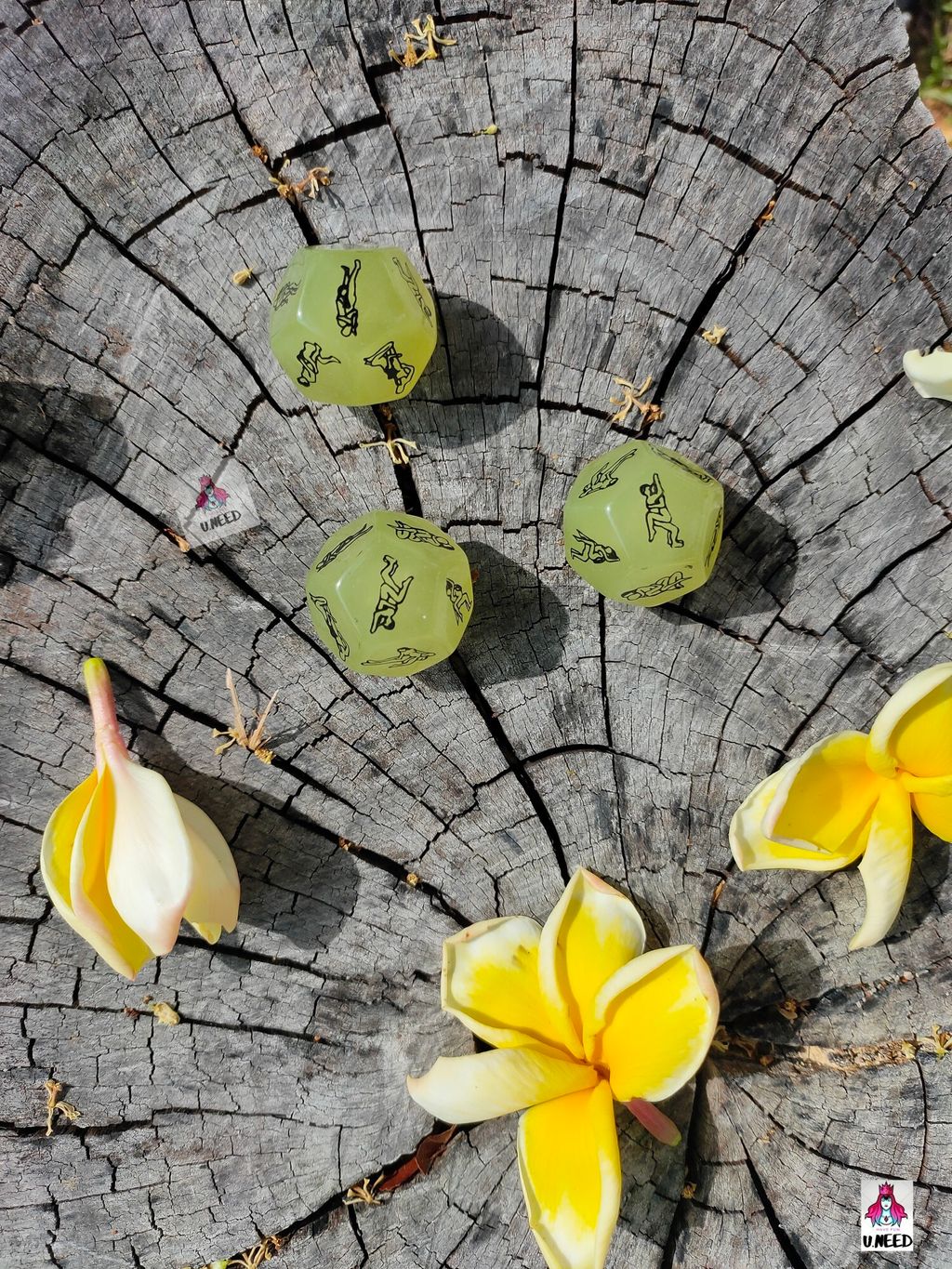 Photo_1615960211039_copy_1500x2000