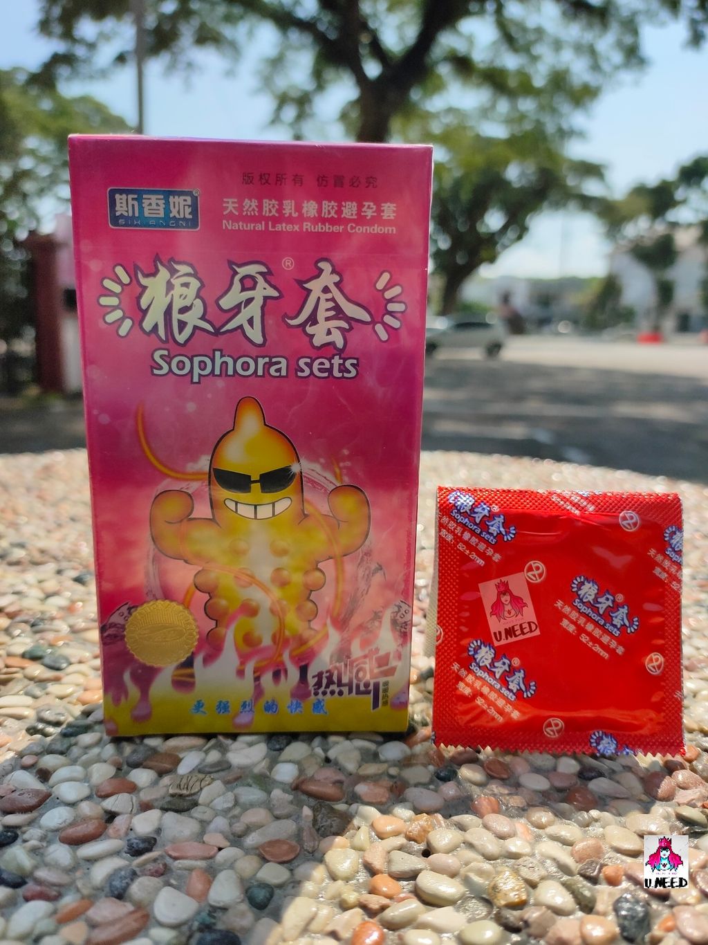 Photo_1626525266896_copy_1337x1783