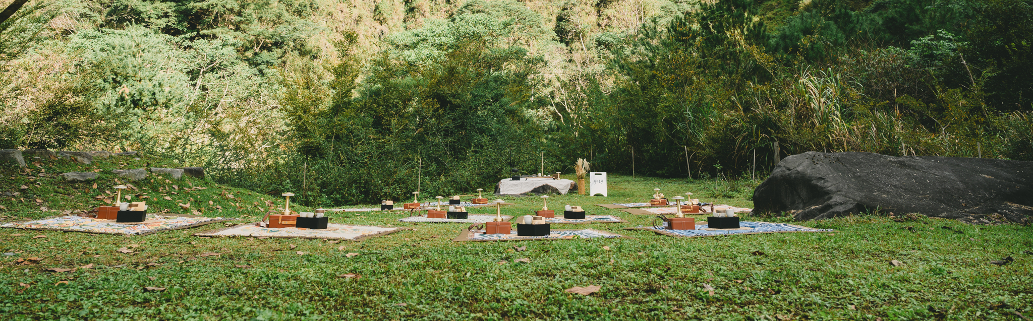 八仙山茶席（上）：為何我們堅持在森林「實測泉水」？解密 TDS 50 如何啟動真正的森林療癒。