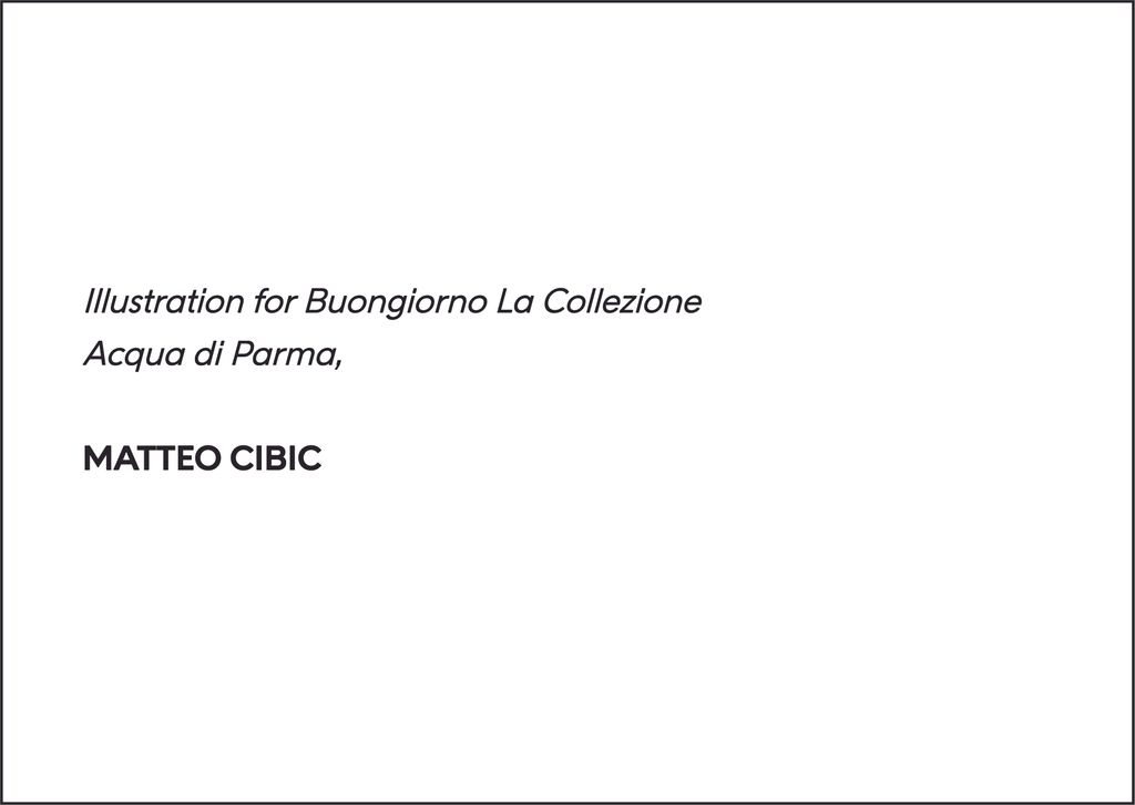 Targhetta Cibic ENG 2_outline