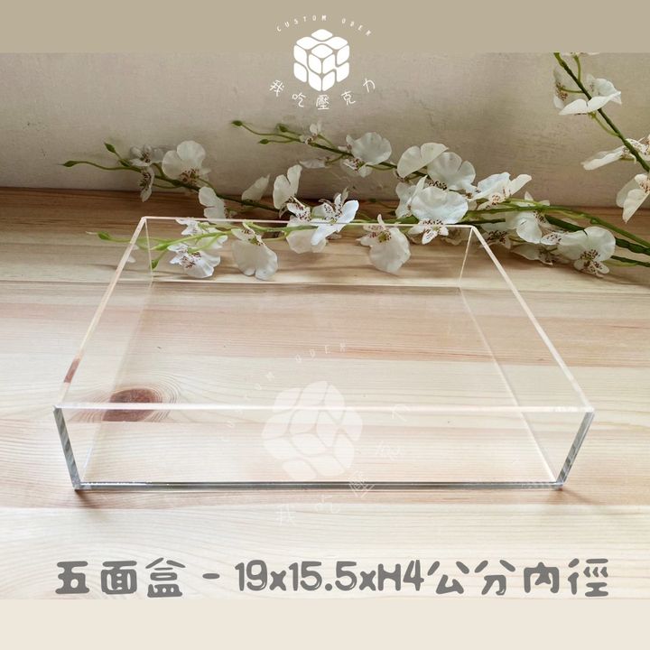 透明五面盒  19X15.5xH4 公分 內徑